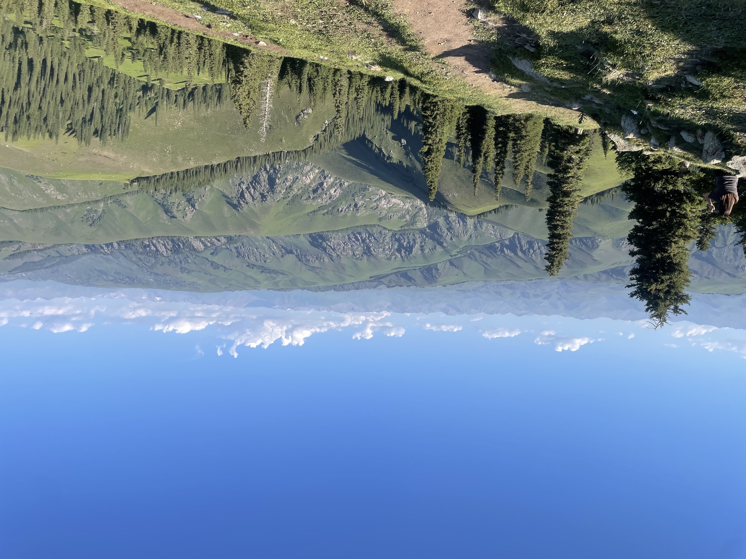 Green valley in Xinjiang