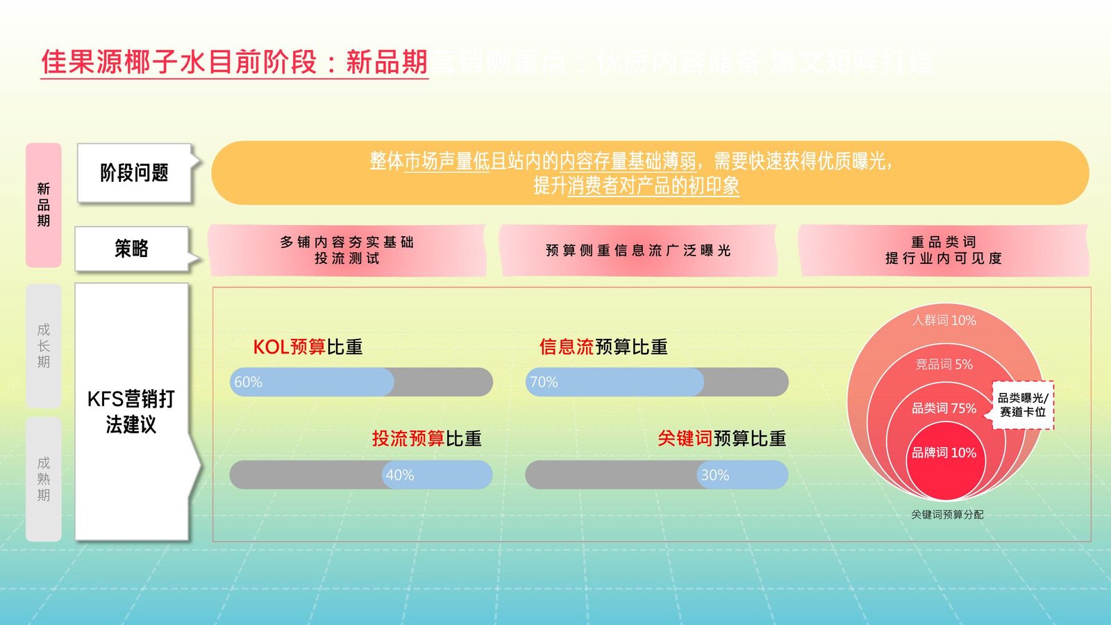 KOL and paid-media budget allocation matrix for the brand's new-product stage